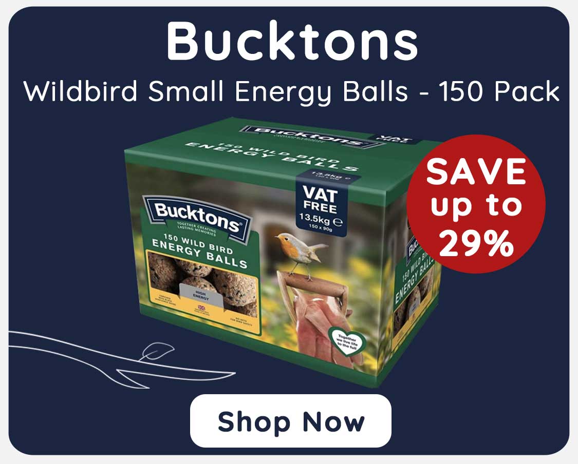 to Online Pet Shop